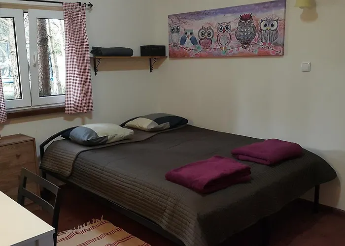 Osada Pod Czerwonym Debem - Czarny Mlyn Jastrzębia Góra